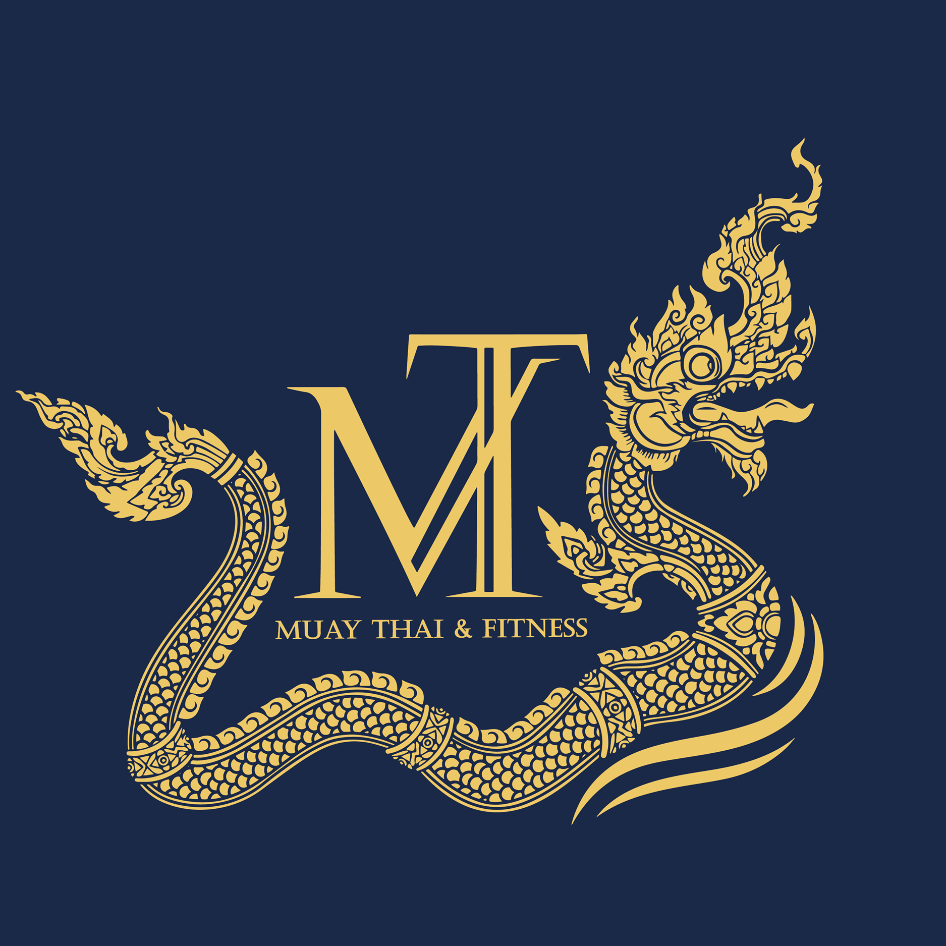 MTS Muay Thai & Fitness